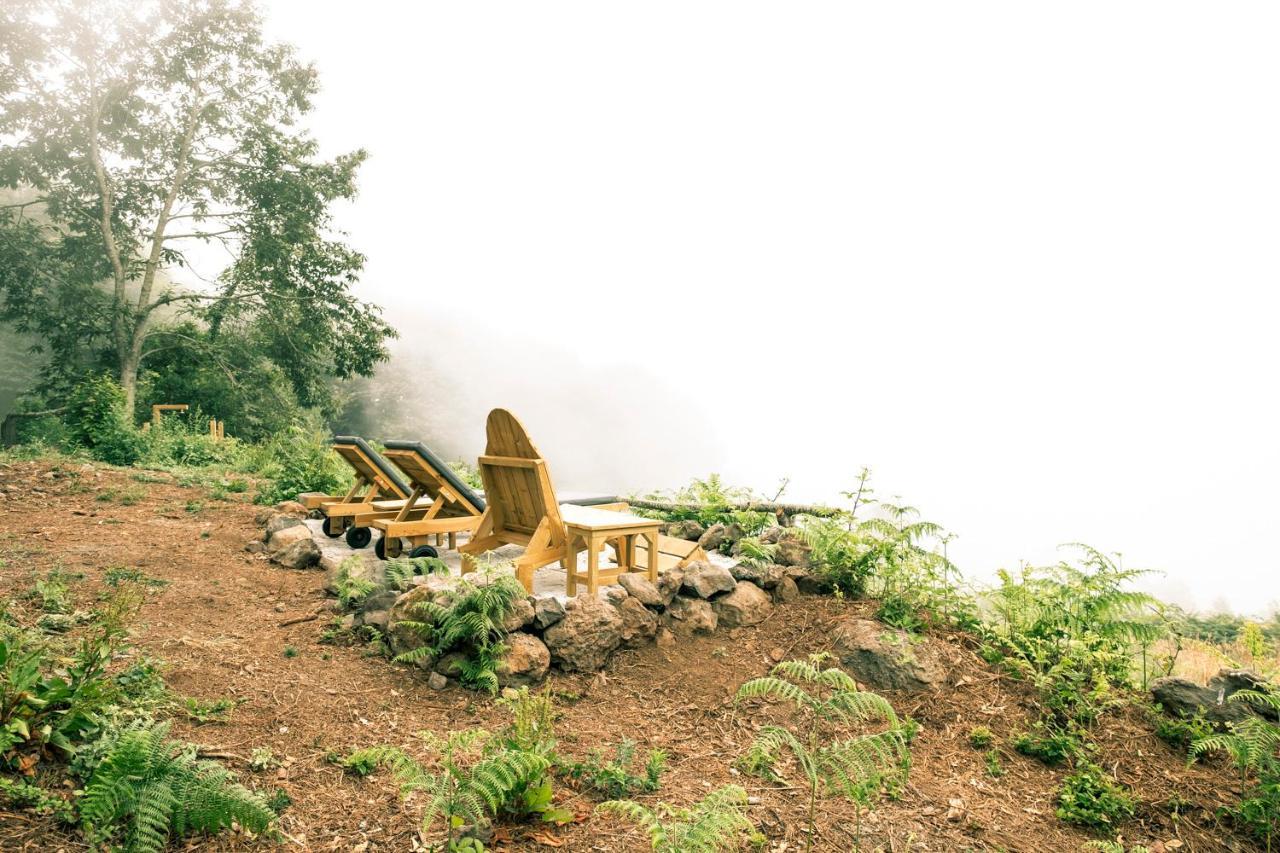 El Pino Centenario 8 ลาโอโรตาวา ภายนอก รูปภาพ